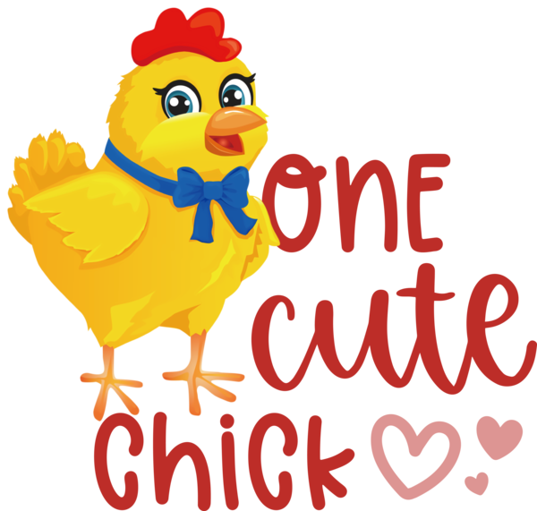 Transparent easter Landfowl Chicken Cartoon for Easter Chick for Easter