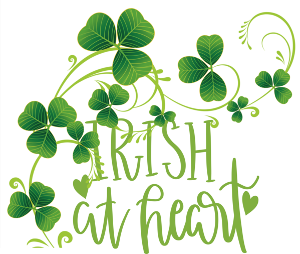 Transparent St. Patrick's Day Four-leaf clover Shamrock Transparency for Shamrock for St Patricks Day