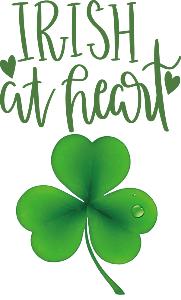 Transparent St. Patrick's Day Leaf Plant stem Flower for Shamrock for St Patricks Day