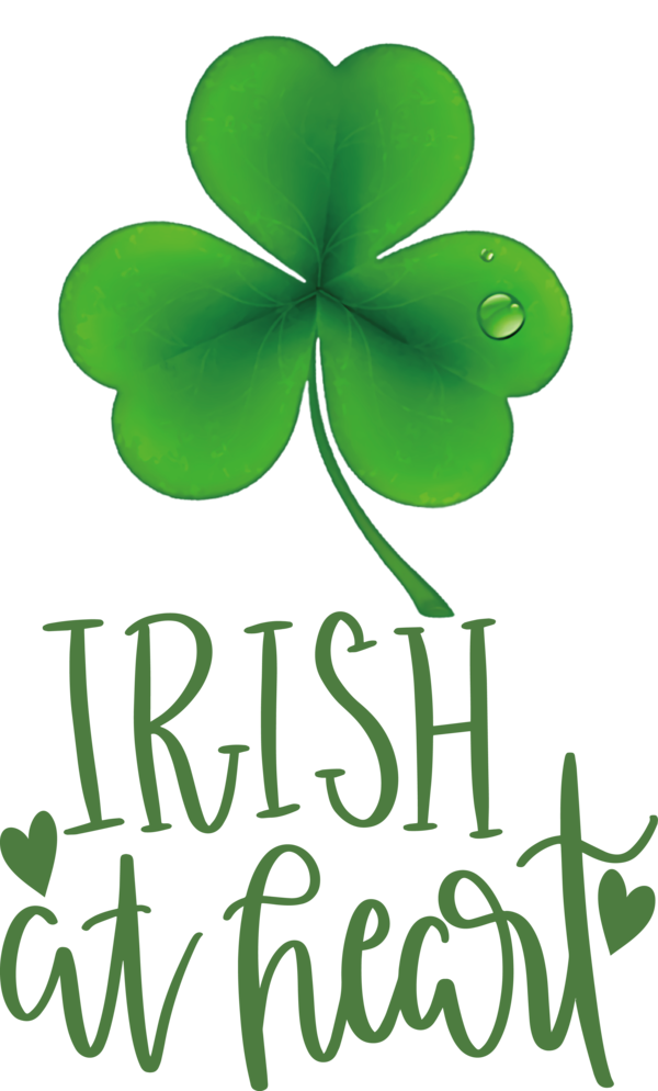 Transparent St. Patrick's Day Leaf Plant stem Logo for Shamrock for St Patricks Day
