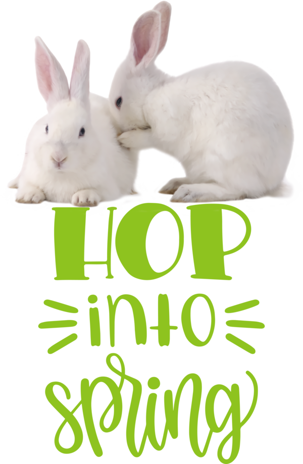 Transparent Easter Easter Bunny Rabbit Snout for Easter Day for Easter