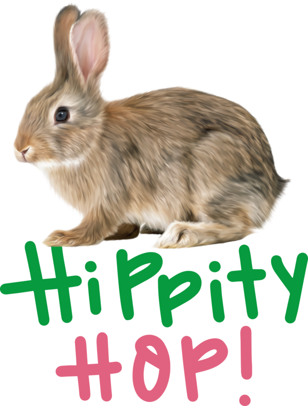 Transparent Easter Mini Lop Lionhead rabbit Angora rabbit for Easter Bunny for Easter