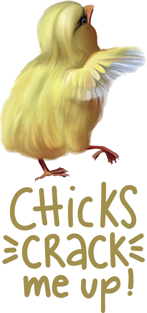 Transparent Easter Birds Beak Chicken for Easter Chick for Easter