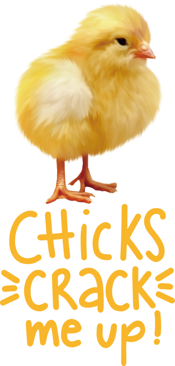Transparent Easter Landfowl Chicken Livestock for Easter Chick for Easter