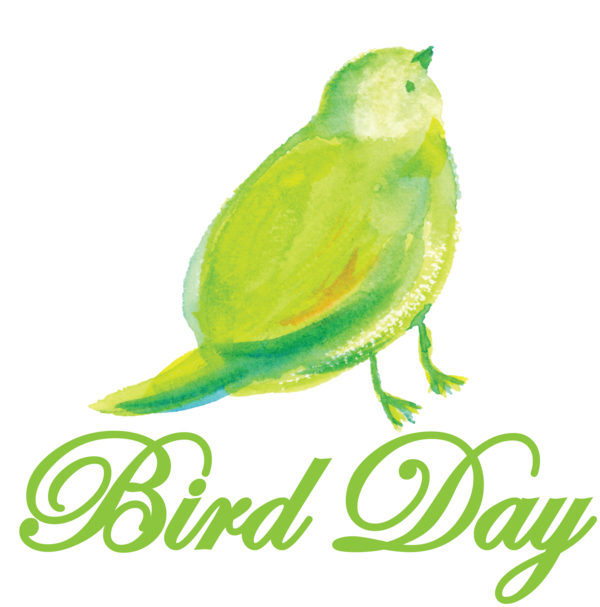 Transparent Bird Day Birds Day spa Beak for Happy Bird Day for Bird Day