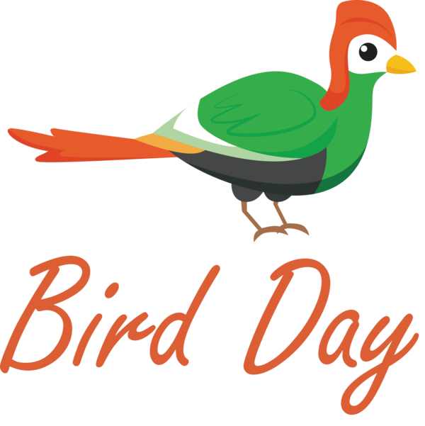 Transparent Bird Day Birds Ducks Beak for Happy Bird Day for Bird Day