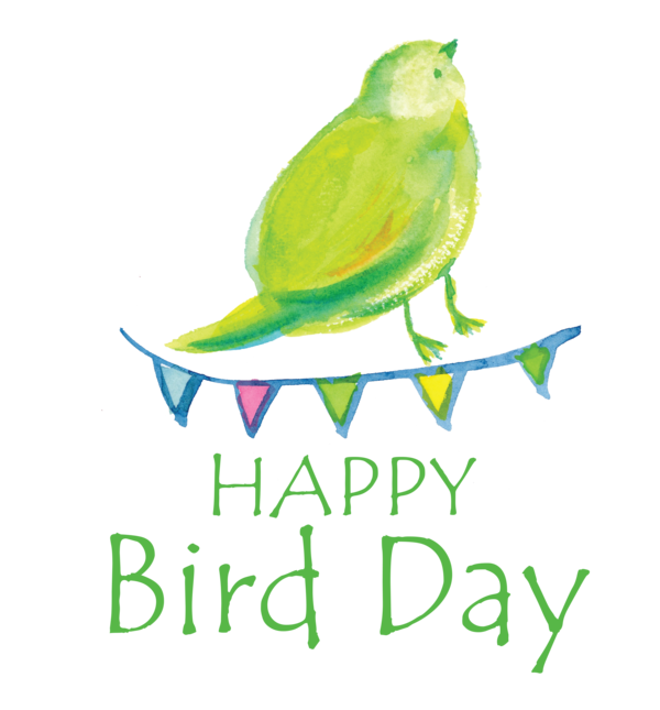 Transparent Bird Day Parrots Horse Parakeet for Happy Bird Day for Bird Day