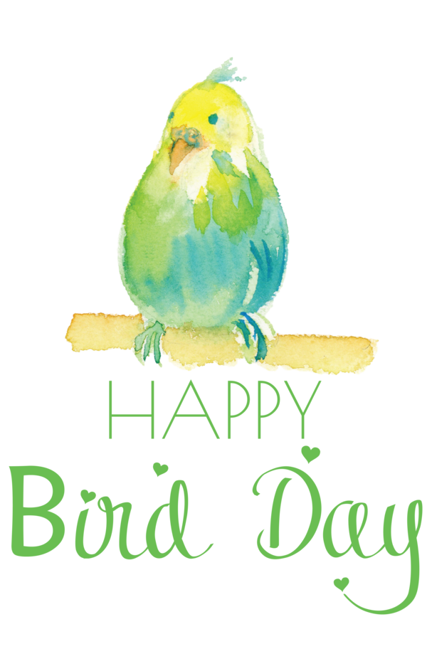 Transparent Bird Day Birds Parrots Parakeet for Happy Bird Day for Bird Day