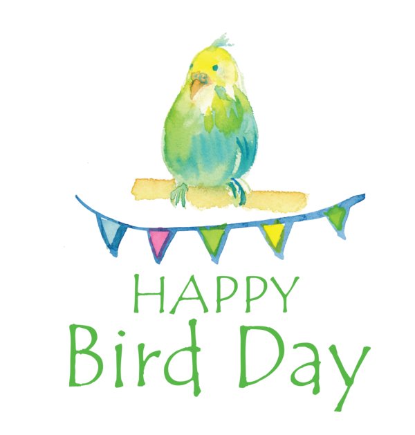 Transparent Bird Day Parrots Logo Beak for Happy Bird Day for Bird Day