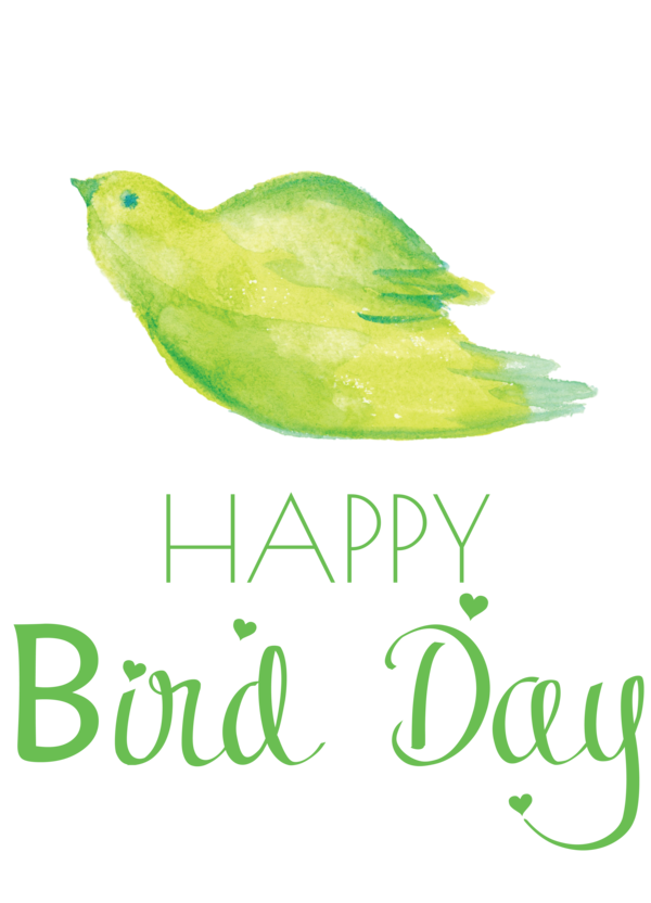 Transparent Bird Day Birds Beak Leaf for Happy Bird Day for Bird Day