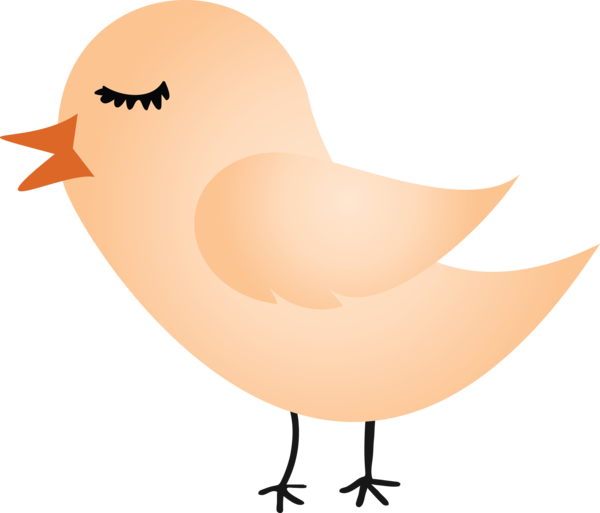 Transparent Bird Day Landfowl Ducks Chicken for Cartoon Bird for Bird Day
