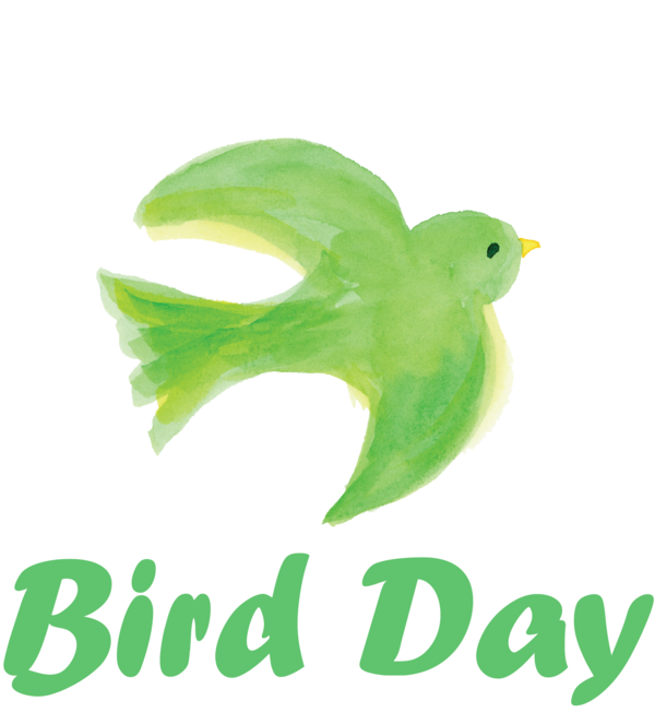 Transparent Bird Day Birds Biodegradable plastic Leaf for Happy Bird Day for Bird Day