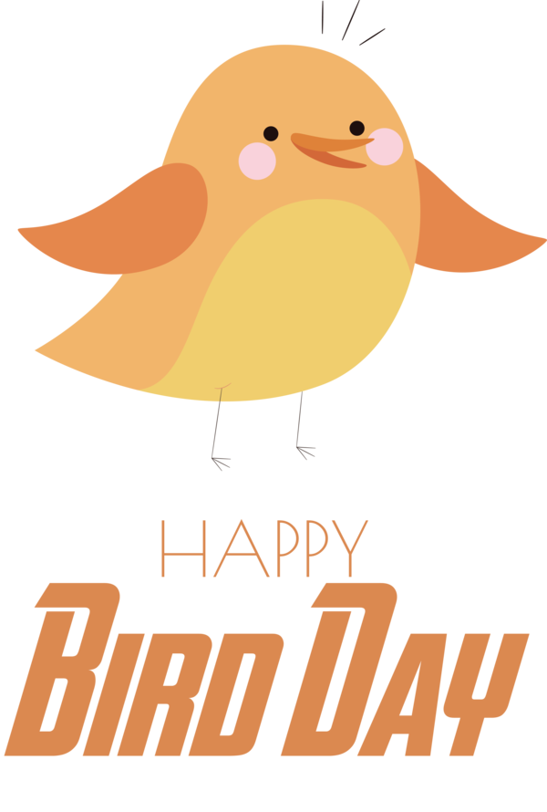 Transparent Bird Day Birds Ducks Beak for Happy Bird Day for Bird Day