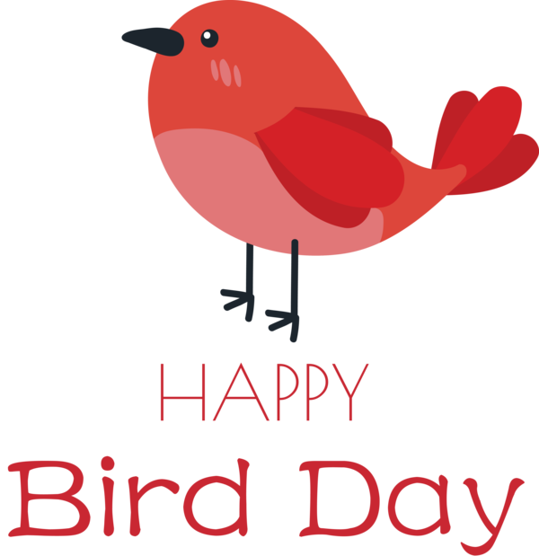 Transparent Bird Day Birds Beak Red for Happy Bird Day for Bird Day