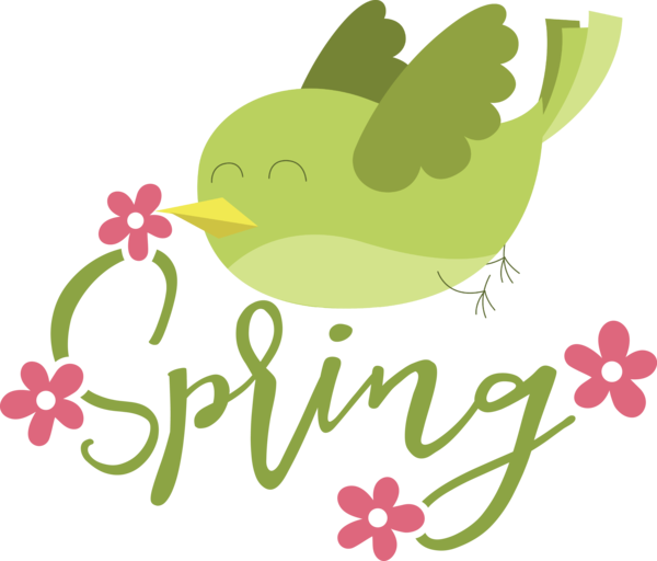 Transparent Bird Day Birds White-rumped shama Spring Bird Song for Bird Quotes for Bird Day