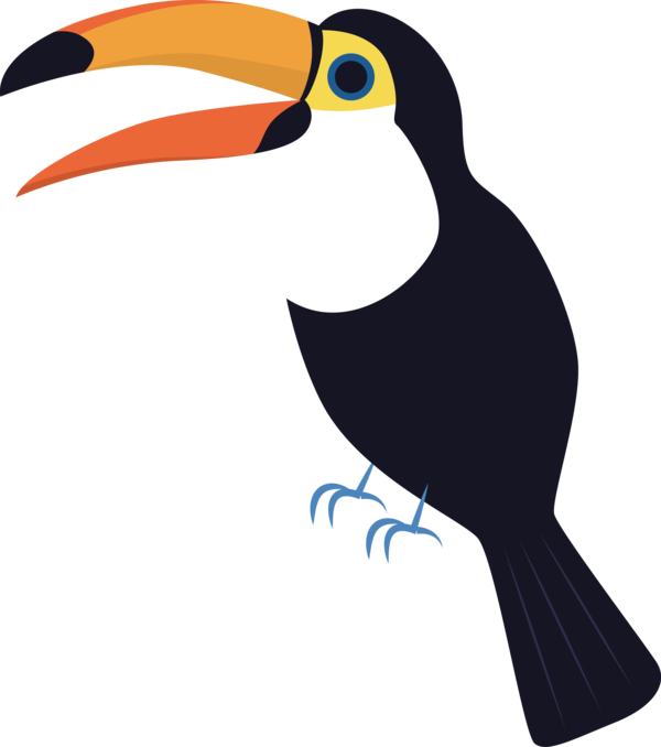 Transparent Bird Day Toucans Piciformes Birds for Cartoon Bird for Bird Day