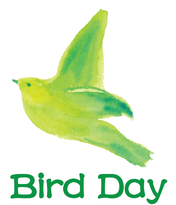 Transparent Bird Day Birds Beak Meter for Happy Bird Day for Bird Day