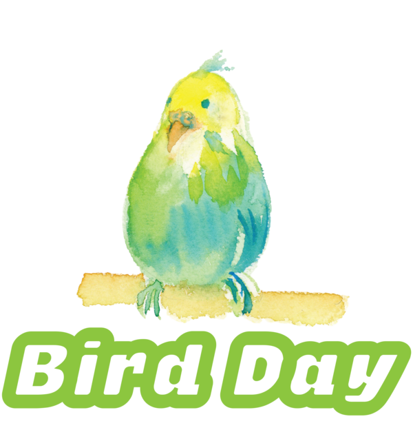 Transparent Bird Day Birds Parrots Parakeet for Happy Bird Day for Bird Day