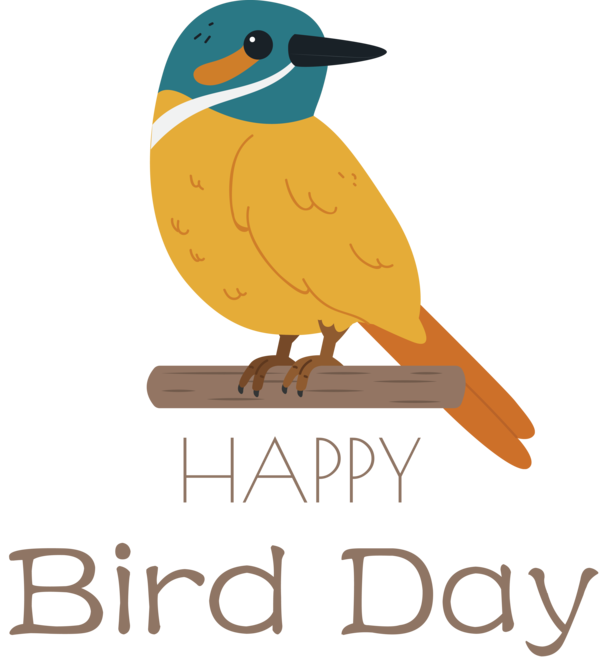 Transparent Bird Day Birds Logo Beak for Happy Bird Day for Bird Day