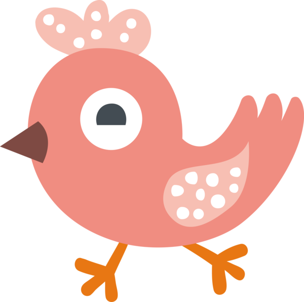 Transparent Bird Day Landfowl Chicken Cartoon for Cartoon Bird for Bird Day