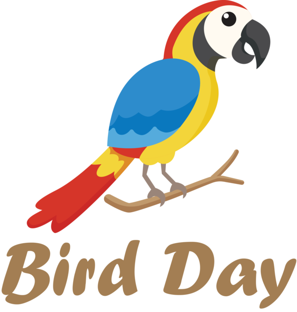 Transparent Bird Day Birthday Cake Party for Happy Bird Day for Bird Day