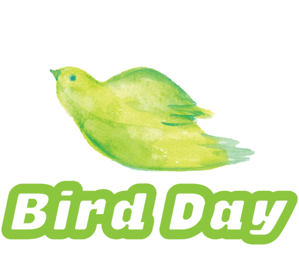 Transparent Bird Day Meter Font Beak for Happy Bird Day for Bird Day