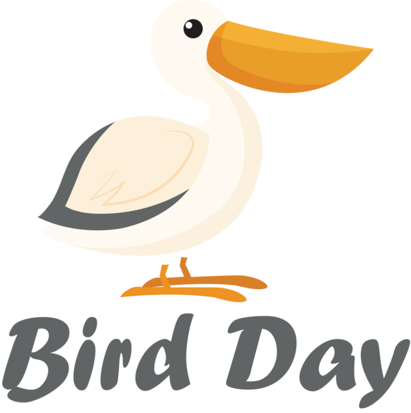 Transparent Bird Day Birds Duck Seabird for Happy Bird Day for Bird Day