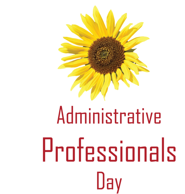 Transparent Administrative Professionals Day Daisy family Cut flowers Sunflower Seeds for Secretaries Day for Administrative Professionals Day