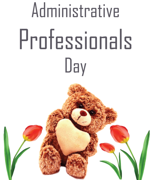 Transparent Administrative Professionals Day Teddy bear Stuffed Animal Cut flowers for Secretaries Day for Administrative Professionals Day