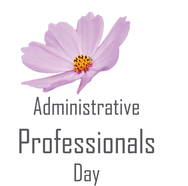 Transparent Administrative Professionals Day Flower Daisy family Petal for Secretaries Day for Administrative Professionals Day
