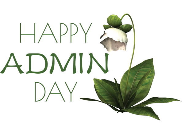 Transparent Administrative Professionals Day Herbal medicine Leaf Medicine for Admin Day for Administrative Professionals Day