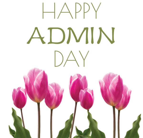 Transparent Administrative Professionals Day Tulip Flower Plant for Admin Day for Administrative Professionals Day
