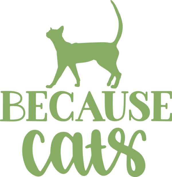 Transparent International Cat Day Cat Dog Tail for Cat Quotes for International Cat Day