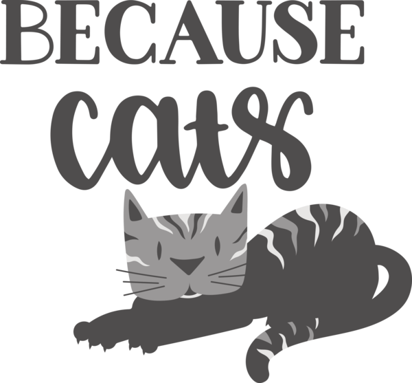 Transparent International Cat Day Cat Whiskers Snout for Cat Quotes for International Cat Day