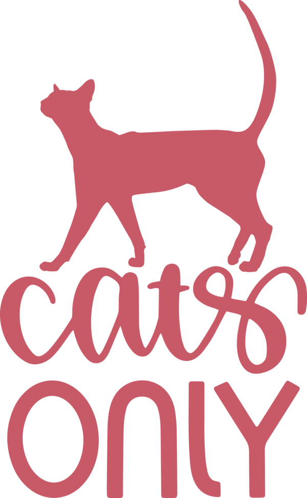 Transparent International Cat Day Dog Cat Design for Cat Quotes for International Cat Day