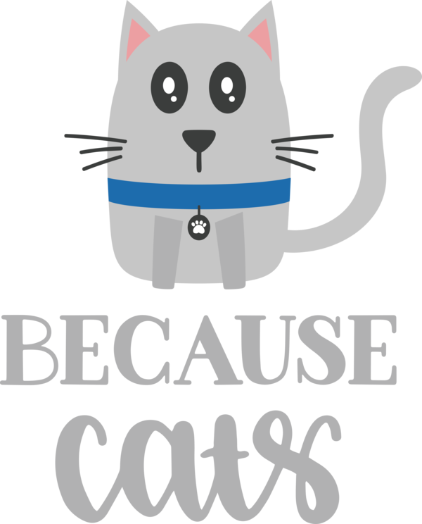 Transparent International Cat Day Cat Whiskers Snout for Cat Quotes for International Cat Day