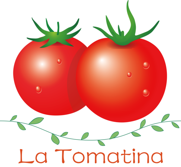 Transparent La Tomatina Natural food Bush tomato Local food for La Tomatina Festival for La Tomatina