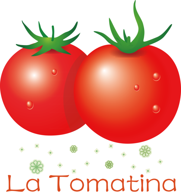 Transparent La Tomatina Natural food Bush tomato Local food for La Tomatina Festival for La Tomatina