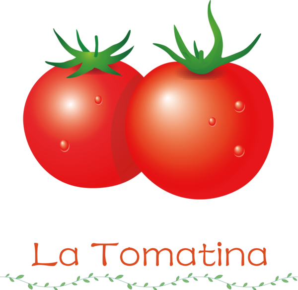 Transparent La Tomatina Natural food Local food Bush tomato for La Tomatina Festival for La Tomatina