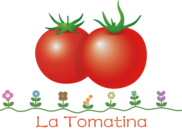 Transparent La Tomatina Tomato Natural food Local food for La Tomatina Festival for La Tomatina
