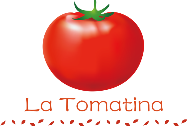 Transparent La Tomatina Bush tomato Natural food Superfood for La Tomatina Festival for La Tomatina