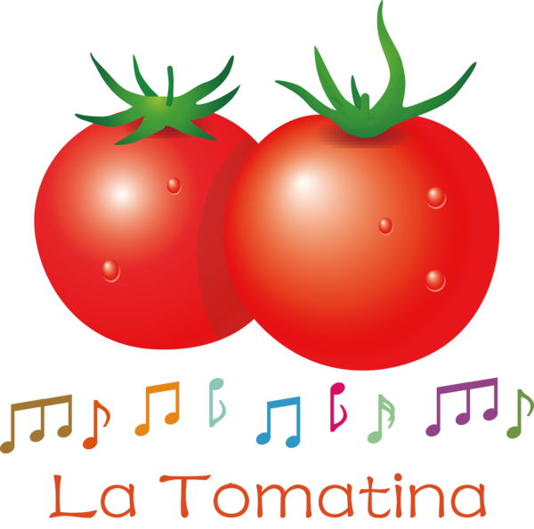Transparent La Tomatina Natural food Local food Bush tomato for La Tomatina Festival for La Tomatina