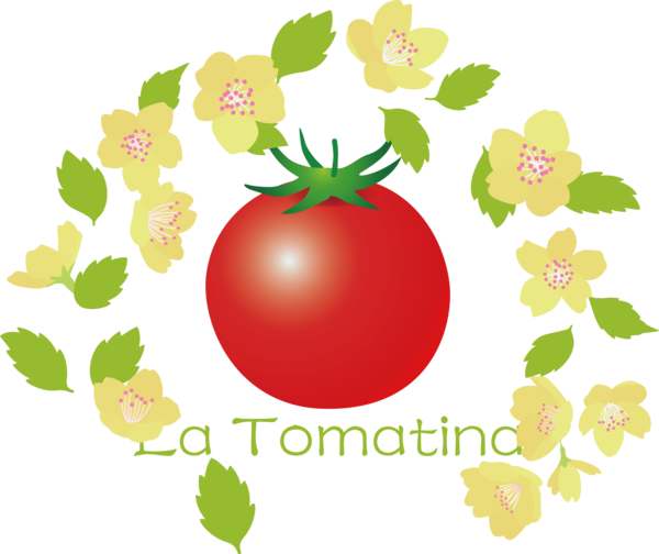 Transparent La Tomatina Flower Natural food Vegetable for La Tomatina Festival for La Tomatina