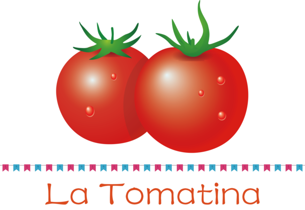 Transparent La Tomatina Bush tomato Natural food Local food for La Tomatina Festival for La Tomatina