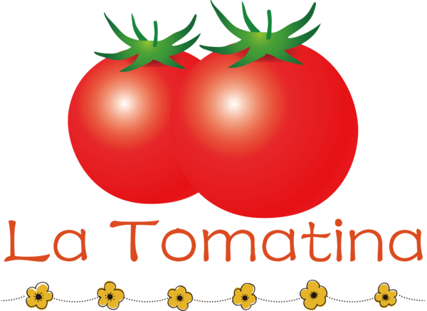 Transparent La Tomatina Bush tomato Natural food Superfood for La Tomatina Festival for La Tomatina