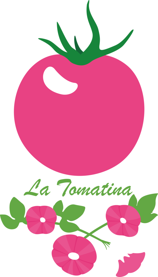 Transparent La Tomatina Flower  Plant stem for La Tomatina Festival for La Tomatina