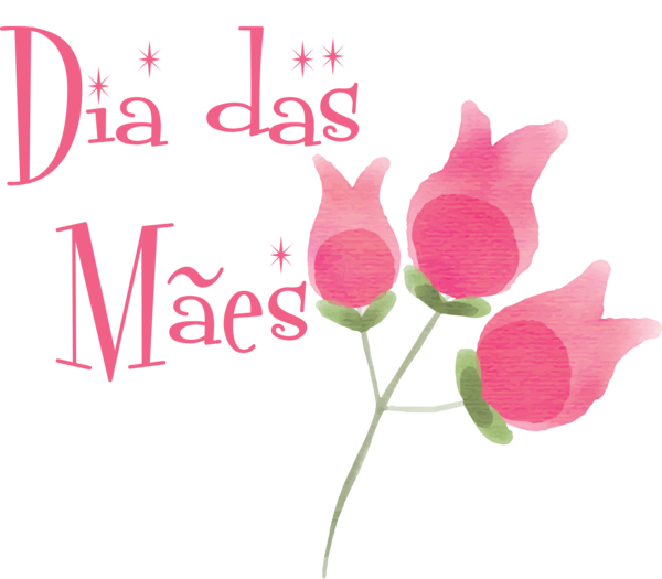 Transparent Mother's Day Cut flowers Floral design Rose family for Dia das Maes for Mothers Day