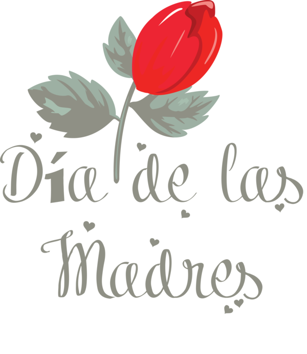 Transparent Mother's Day Cut flowers Floral design Tulip for Día de las Madres for Mothers Day
