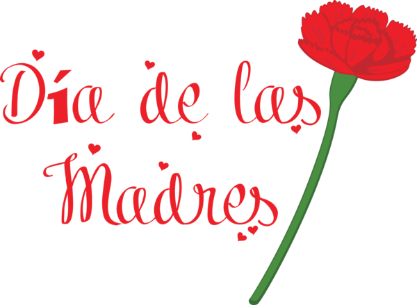 Transparent Mother's Day Floral design Plant stem Cut flowers for Día de las Madres for Mothers Day