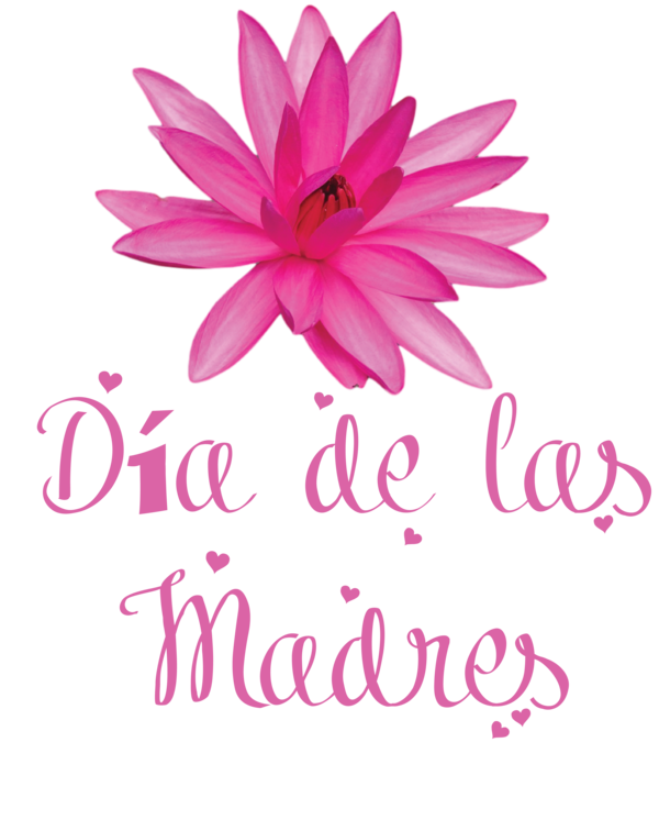 Transparent Mother's Day Cut flowers Floral design Petal for Día de las Madres for Mothers Day